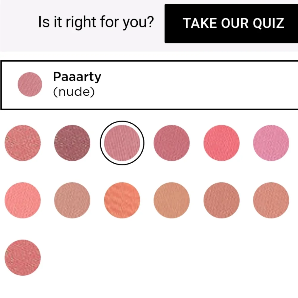 Amazonian Clay 12 Hour Blush in Paaarty